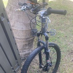 City Mountain Bike 