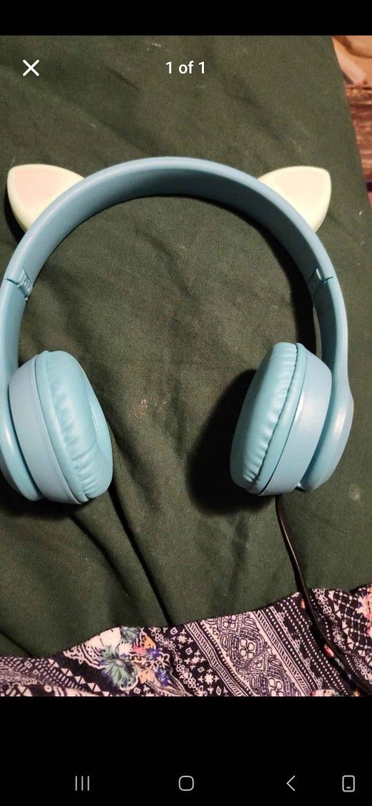 Earphones