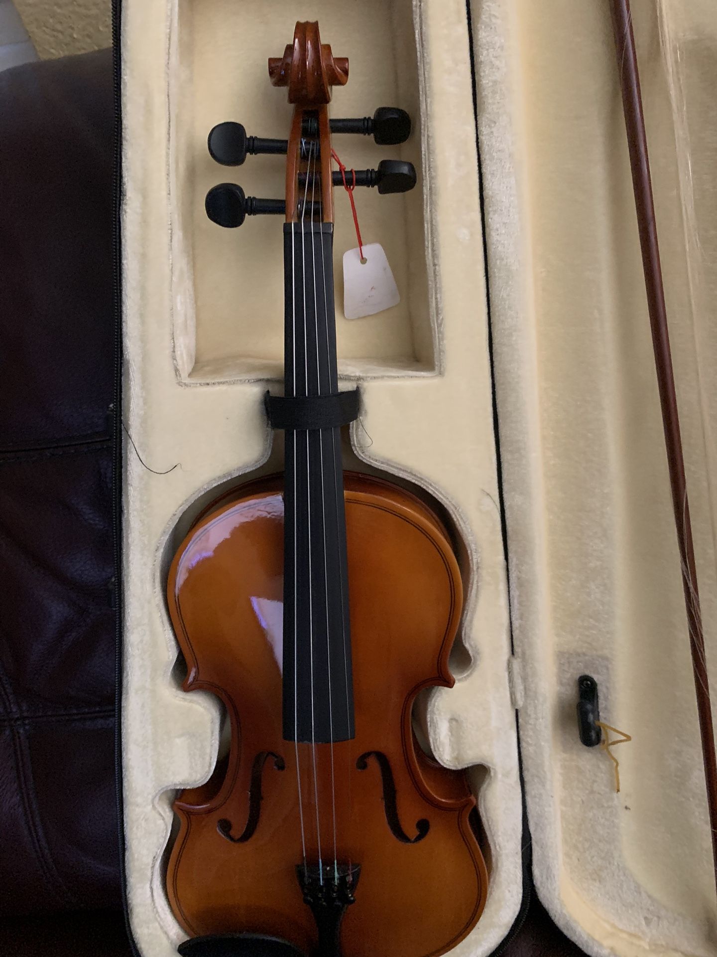 Violin