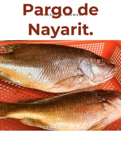 Pargo de Nayarit.