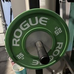 1 Rogue Color Echo Bumper Plate - 25 Ib