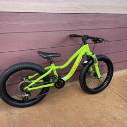 Salsa Timberjack 20” Mountain Bike