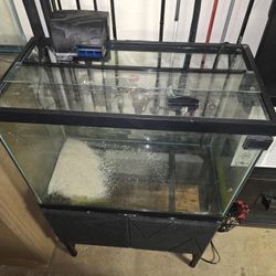 20 Gallon Aquarium With Stand 