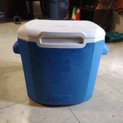 Mini Coleman Cooler