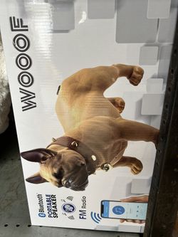 Bluetooth Speakers