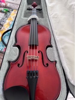 Viola