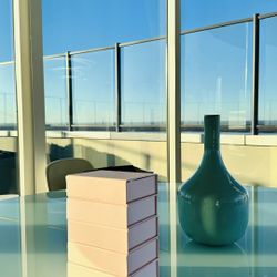 Luxury New Brand Product - Entire Bulk Sale