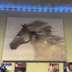 Horse Wall Canvas 