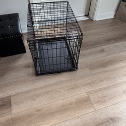 Dog Cage 
