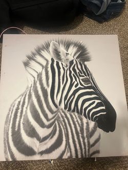 Zebra pictures with texture