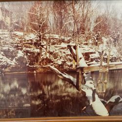 House and Stream pic