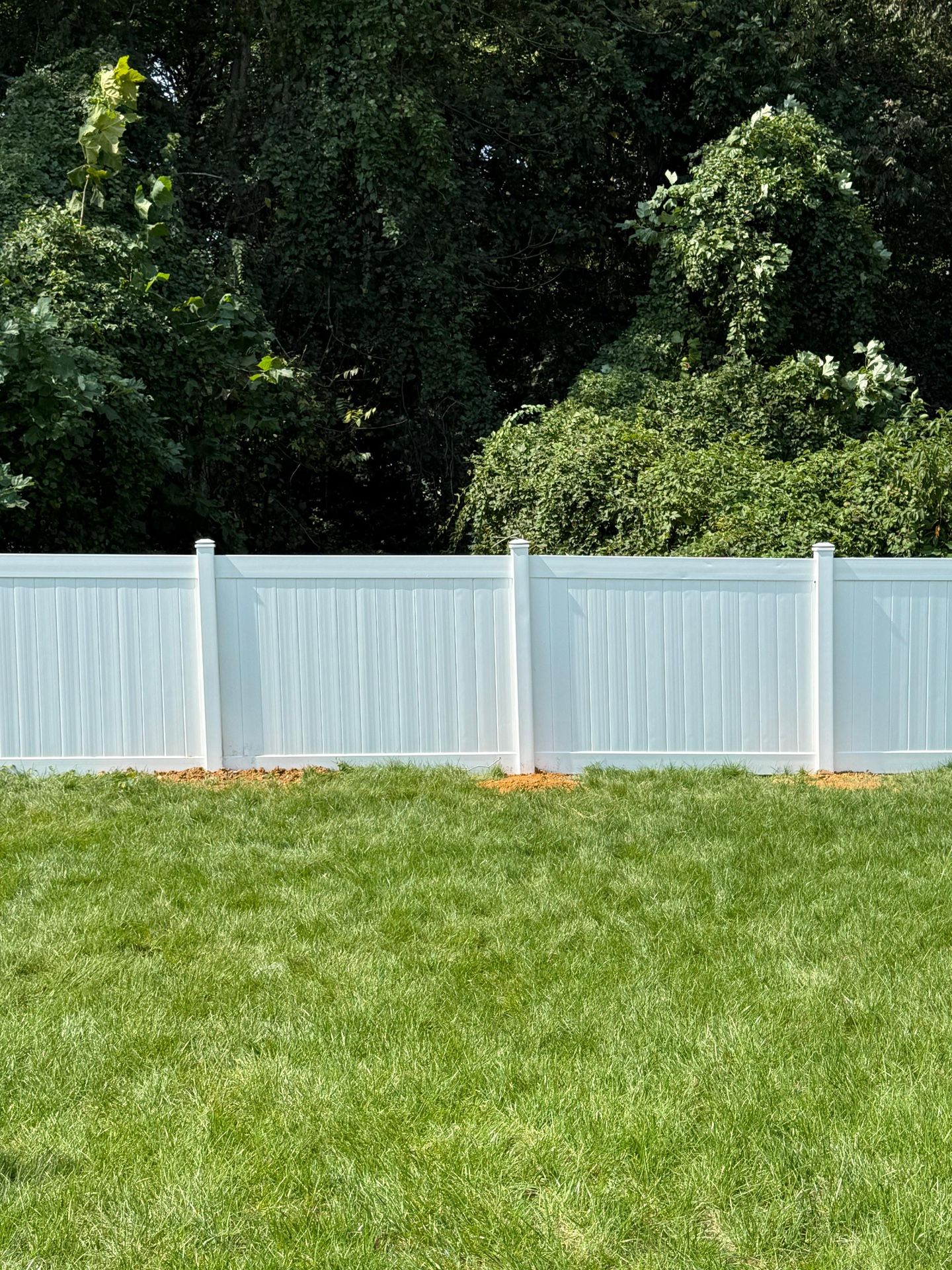 Fence