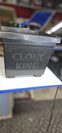Clone KING 36 Plants