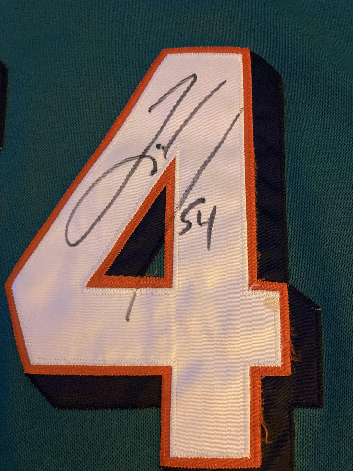 Miami Dolphins