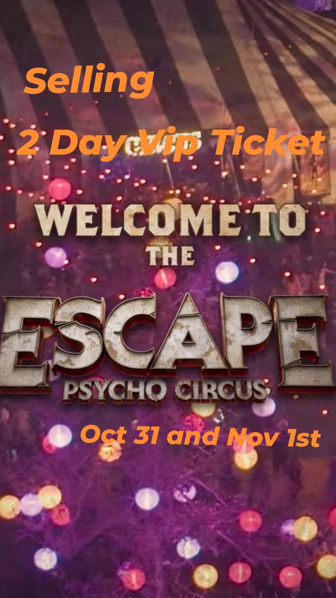 2 days VIP Ticket