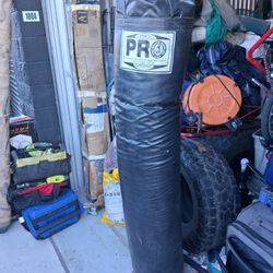 Punching Bag