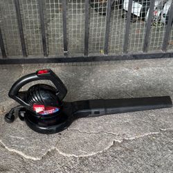 Toro Power Sweep