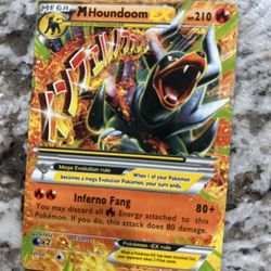 Houndoom EX