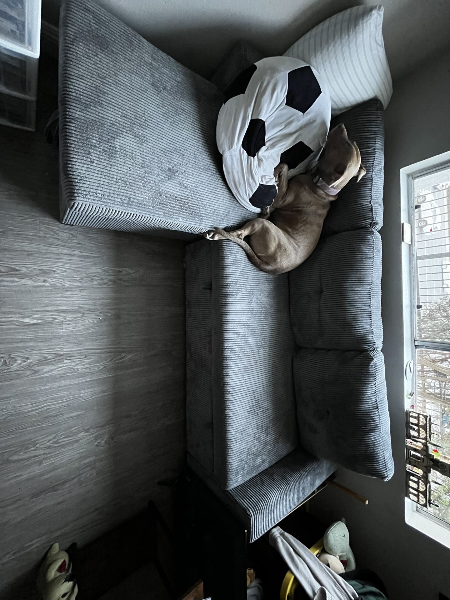 Grey Sectional Couch