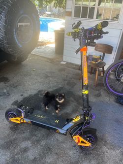 2024 Gallop Electric Scooter – Yellow – 41 MPH