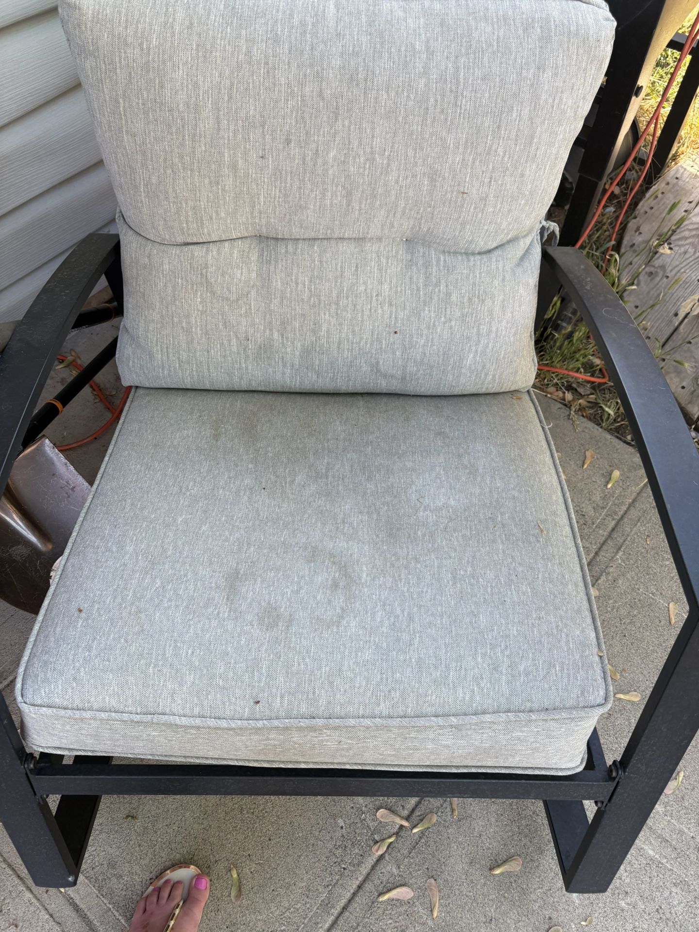 Bristo Chairs