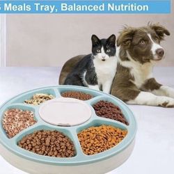 Automatic Cat Feeder for Dogs