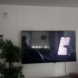 Sony Bravia 65” — Excellent Condition 