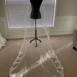 Wedding Veil 