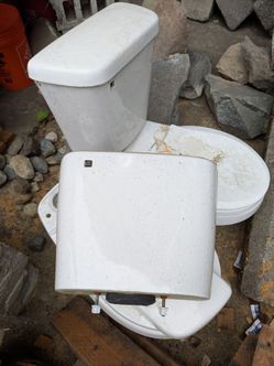 2 Western toilets with seats