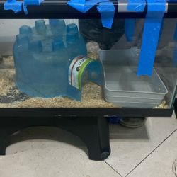 Tank Water Bowl In Igloo 