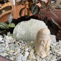 Terrarium  