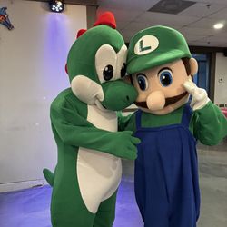 Mascot Costumes For Grown Ups / Mario, Luigi, Yoshi, Peach Princess / $400 Each