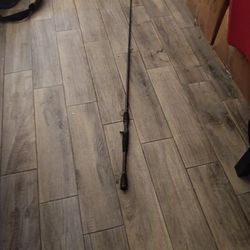 Fishing Rod
