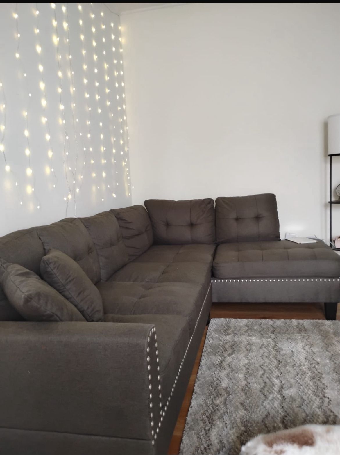 Sectional couch