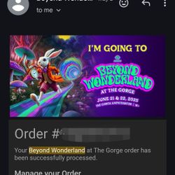 Passes For Beyond Wonderland
