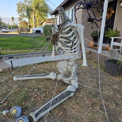 skeleton 💀  Halloween Prop ((NOT the spiders or web))