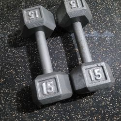 15lbs Dumbells Weights