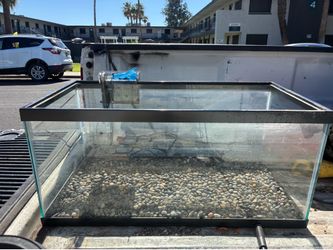 40 Gallon Fish Tank