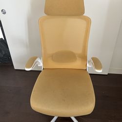 Ergonomic desk adjustable lumbar support chair with headrest