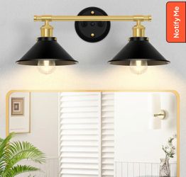 Licperron 2-Light Vanity Light Fixture Black Gold Industrial