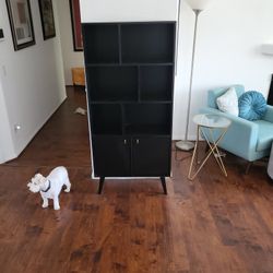 Black Cabinet 