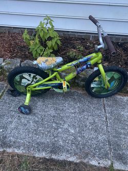 Free Ninja Turtle Bike