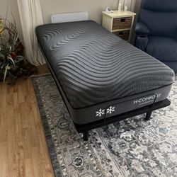 Twin Adjustable Bed 