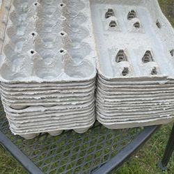 Free Egg Cartons 🥚 