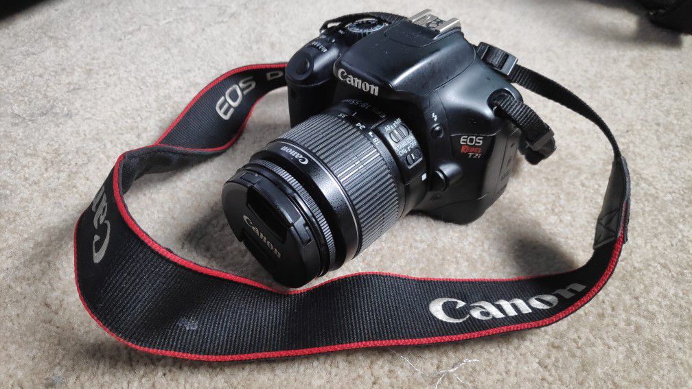 Canon T2i - Memory Card and Strap