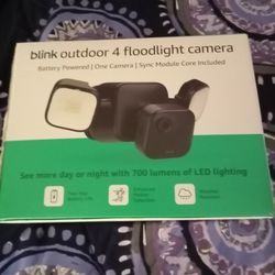 Lights And Camera  Blink 