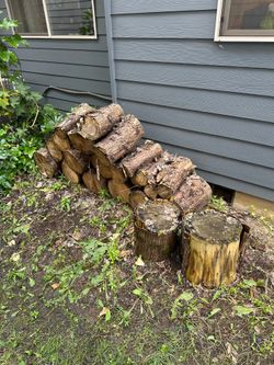 Firewood