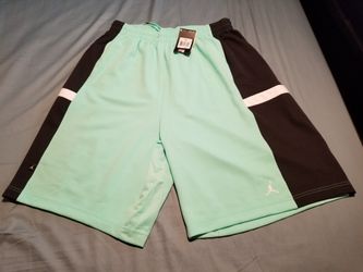 Air Jordan Shorts brand new with tags XXL