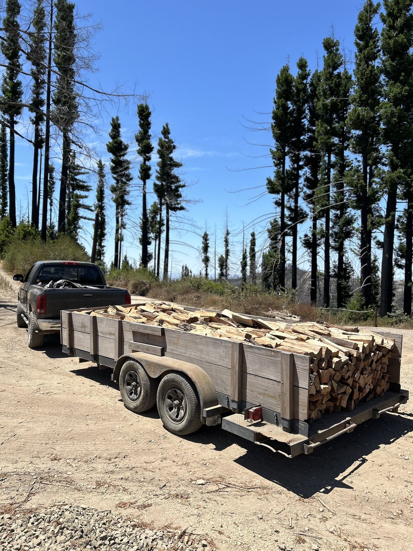 • Firewood • Tree Service • 