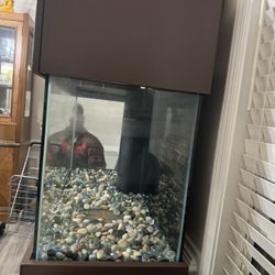 Aquarium 